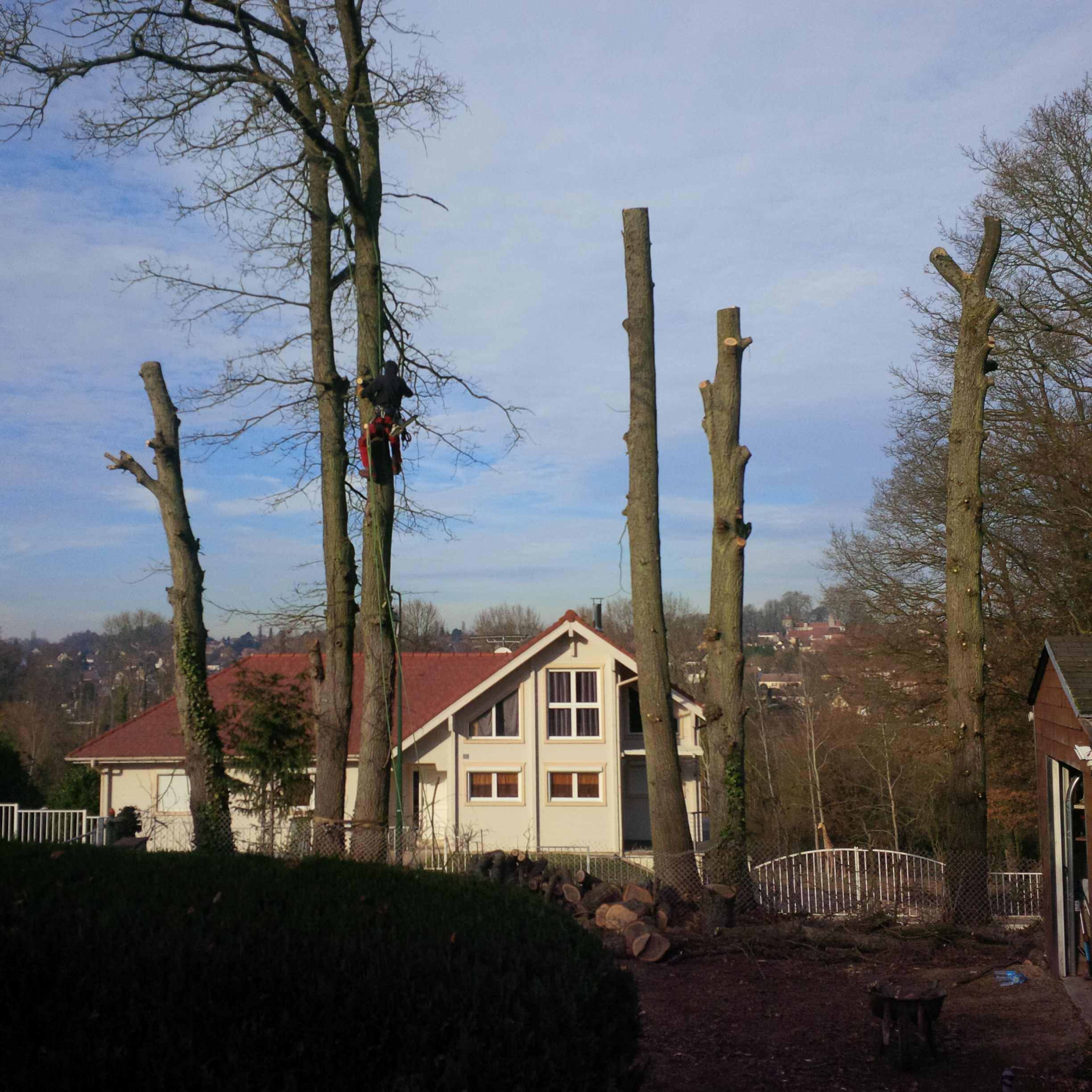 elagage abattage Boissy le Châtel 77169